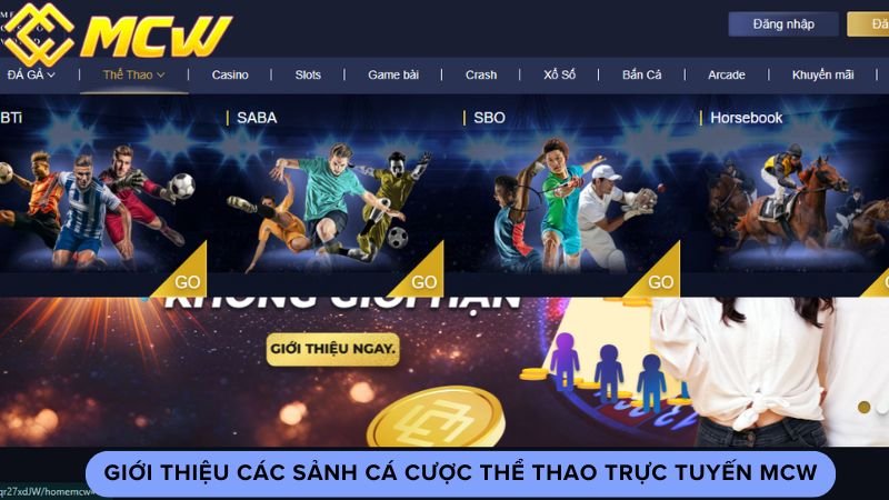 Giới thiệu các sảnh cá cược thể thao trực tuyến MCW